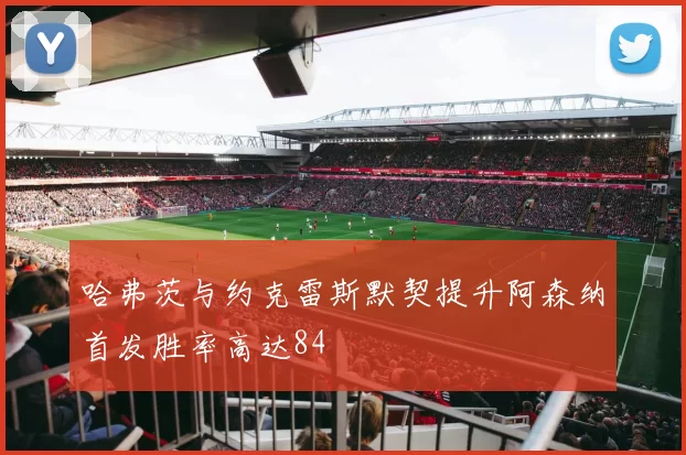 哈弗茨与约克雷斯默契提升阿森纳首发胜率高达84