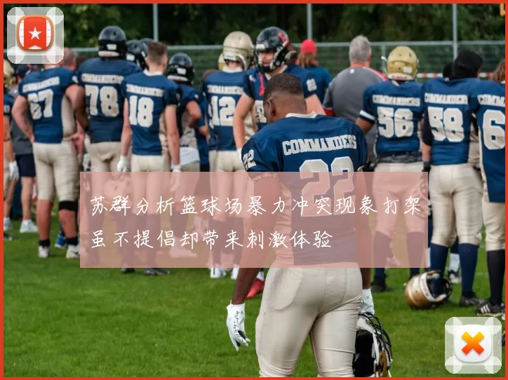 苏群分析篮球场暴力冲突现象打架虽不提倡却带来刺激体验